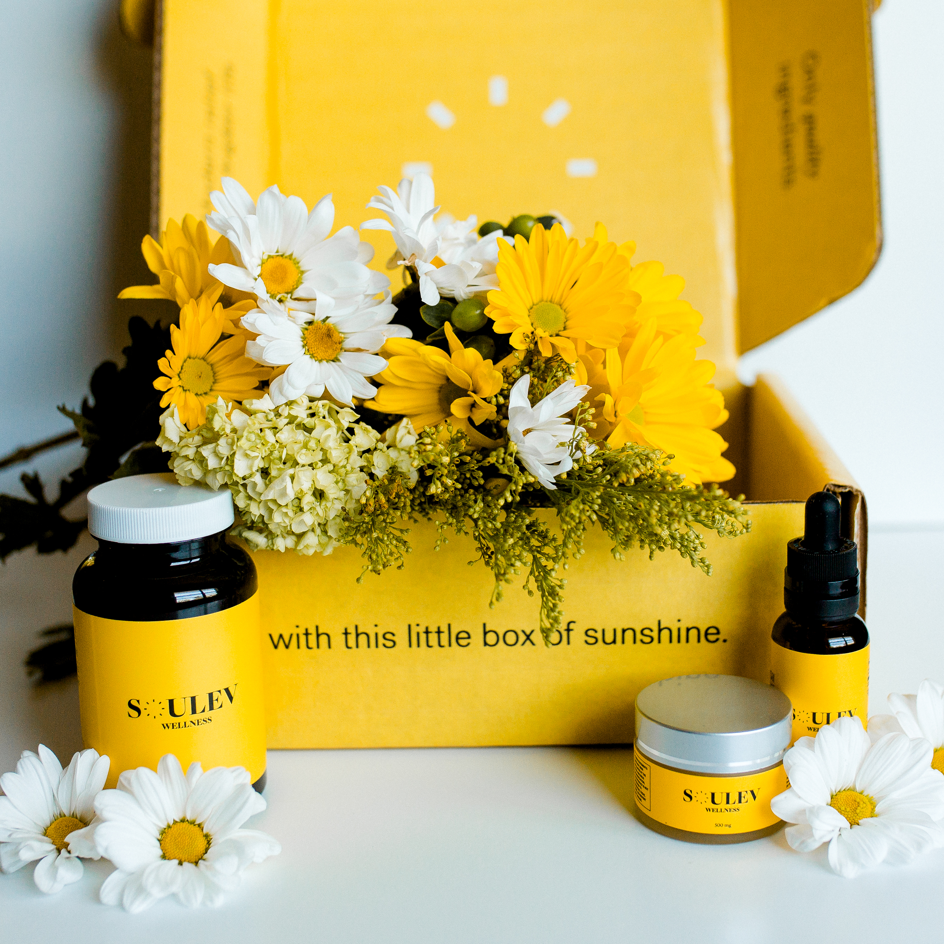 Soulev is utilizing Mr. Checkout's Fast Track Program to reach Independent Hair & Beauty Stores Nationwide. Soulev is utilizing Mr. Checkout's Fast Track Program to reach Independent Hair & Beauty Stores Nationwide.