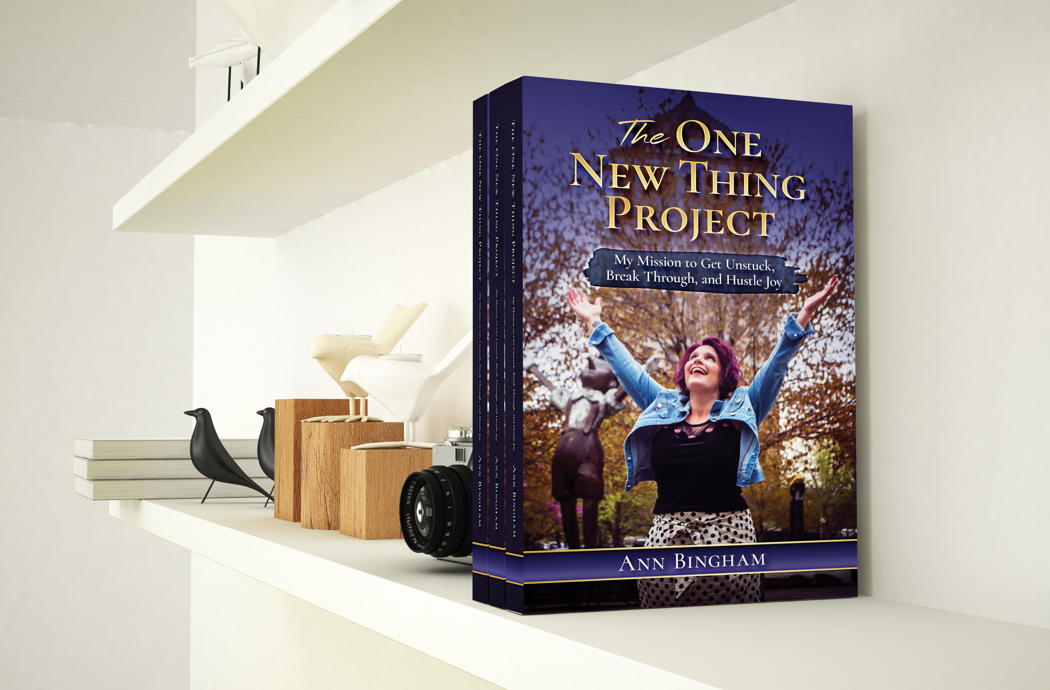 Ann Bingham launches her new book titled "The One New Thing Project", a collection of new and novel experiences of the Author