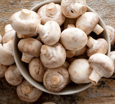 Mushroom Market Price, Region (USA, Europe, India), Trends and Analysis 2021-2026