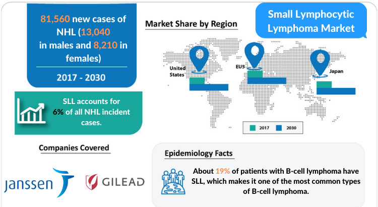 Small Lymphocytic Lymphoma Market Insights, Share, Size, Growth and Market Forecast 2030