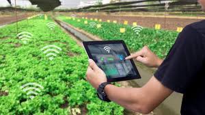 Smart Agriculture/Agritech Market Size Predicted to Reach USD 19,625 Million By 2027: Facts & Factors