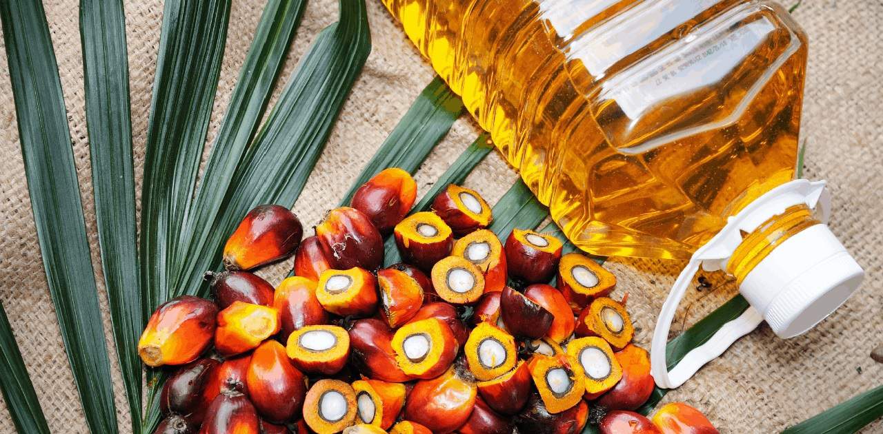 Sustainable Palm Oil Market Share Will Grow to USD 30,100 Million By 2026, Globally: Facts & Factors