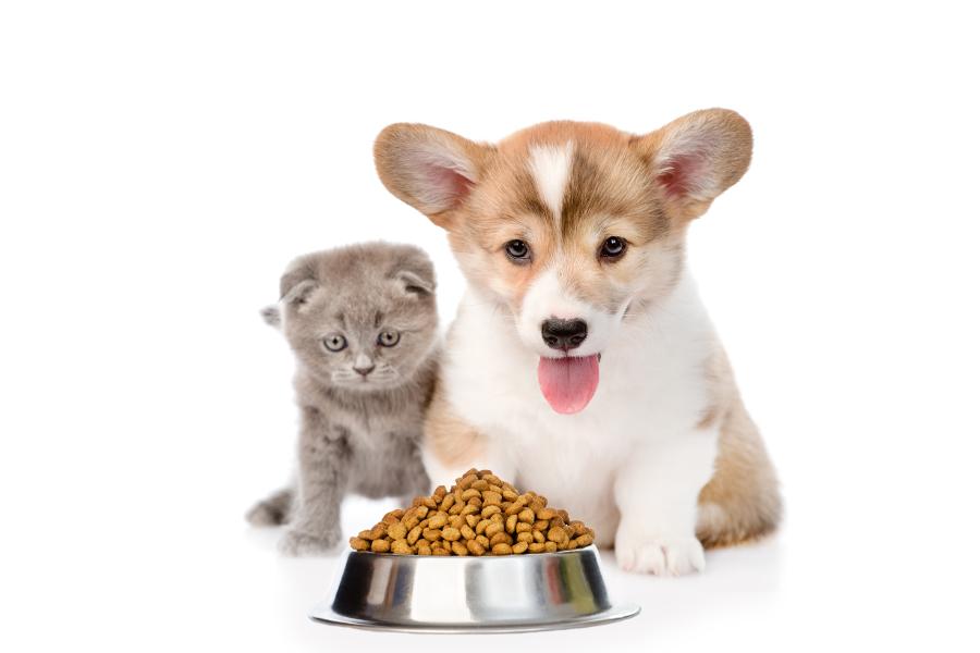 Pet Food Market Opportunities, Size, Share, Revenue, Competitive Analysis, Demand and Growth by 2026