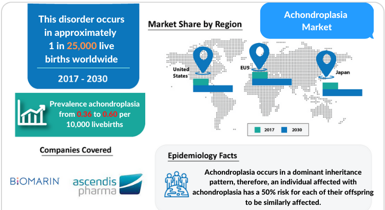 Achondroplasia Drug Market Report and Insights 2030 by DelveInsight