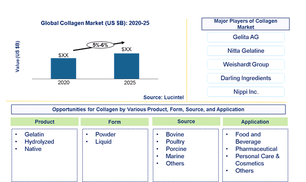 Collagen Market is expected to grow at a CAGR of 5%-6% - An exclusive market research report by Lucintel