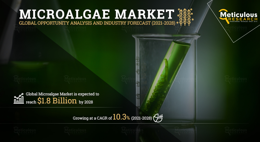 Microalgae Market is Expected to Reach $1.8 Billion by 2028, at a CAGR of 10.3% During the Forecast Period of 2021 to 2028 - Exclusive Report by Meticulous Research®