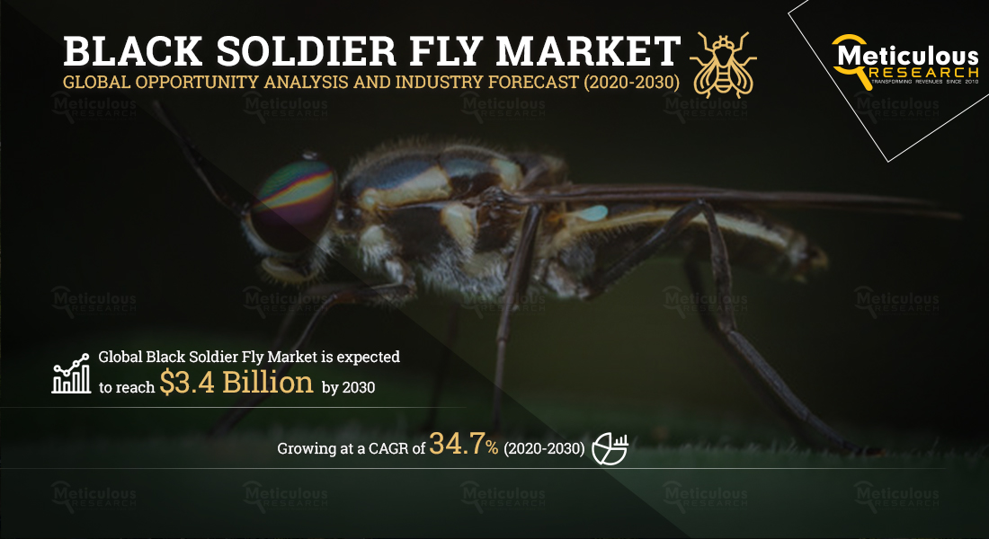 Black Soldier Fly: Meticulous Research Reveals Why This Market is Growing at a CAGR of 34.7% to reach $3.4 billion by 2030