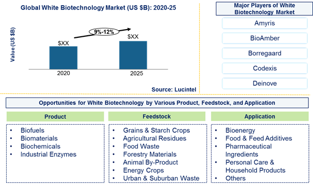 White biotechnology market is expected to grow at a CAGR of 9%-12% by 2026- An exclusive market research report by Lucintel