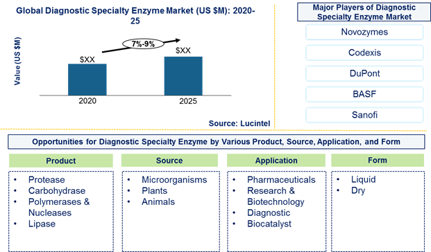 Diagnostic specialty enzyme market is expected to grow at a CAGR of 7%-9% by 2026 - An exclusive market research report by Lucintel Diagnostic specialty enzyme market is expected to grow at a CAGR of 7%-9% by 2026 - An exclusive market research report by Lucintel