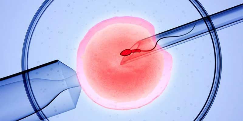 In Vitro Fertilization (IVF) Market Share Estimation, Growth Statistics, Size Value and COVID-19 Impact Analysis By 2031