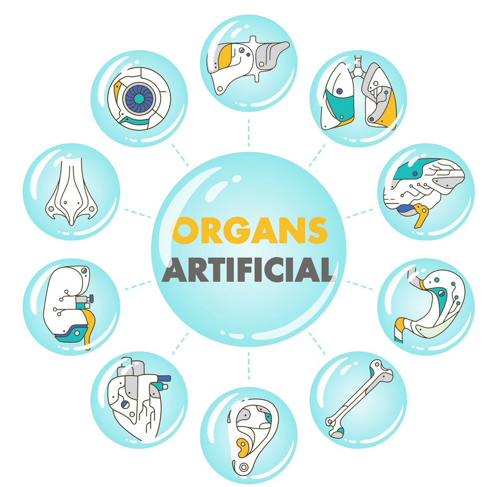 Artificial Organs Market Witness an Outstanding Growth and Strong Revenue and Forecast to 2031