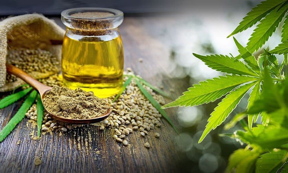 Cannabidiol Oil Market Size Volume, Share, Demand growth, Business Opportunity by 2031