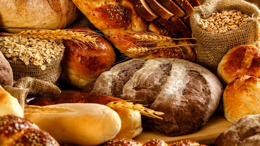 Organic Gluten Substitutes Market is Booming Across the Globe by Share, Growth Size, Key Segments and Forecast to 2031