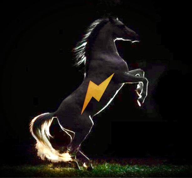 The Dark Horse Of DeFi To Free People From The Centralized Chains Of Corruption The Dark Horse Of DeFi To Free People From The Centralized Chains Of Corruption