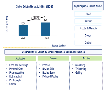 Gelatin Market is expected to grow at a CAGR of 6%-7% - An exclusive market research report by Lucintel