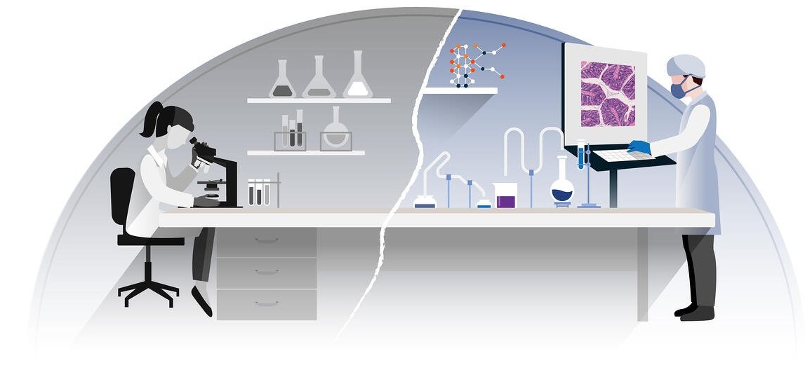 Digital Pathology Market Witness an Outstanding Growth and Strong Revenue and Forecast to 2031