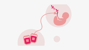 Umbilical Cord Blood Banking Market Growth Projection, Sales Statistics, Size Value and Share Estimation By 2031