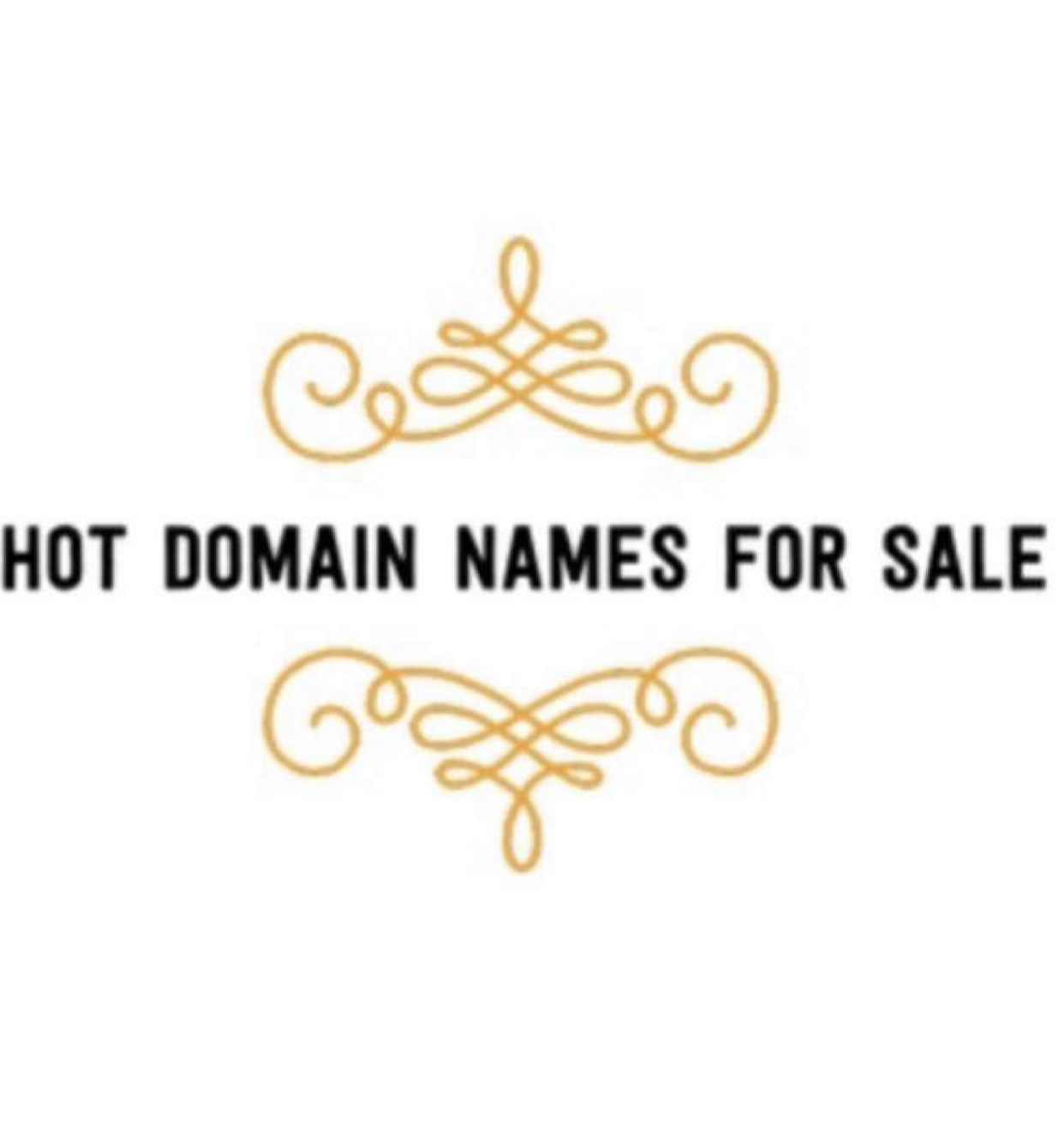Anonymous Business To Sell A Set Of Domain Names To Aid The Search For Brian Laundrie