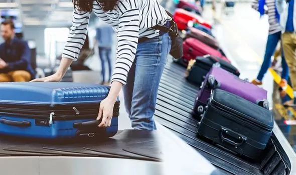 Airport Baggage Handling System Market Trends, Size, Share, Segments, Emerging Audience and Forecast to 2031