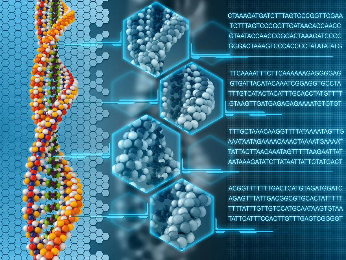 Next-generation Sequencing Services Market: Meticulous Research Reveals Why This Market is growing at a CAGR of 20.4% to Reach $14.1 billion by 2028