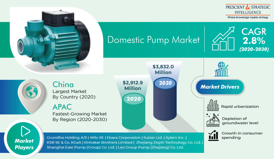 Domestic Pump Market Size, Leading Players, Regional Outlook and Growth Forecast to 2030