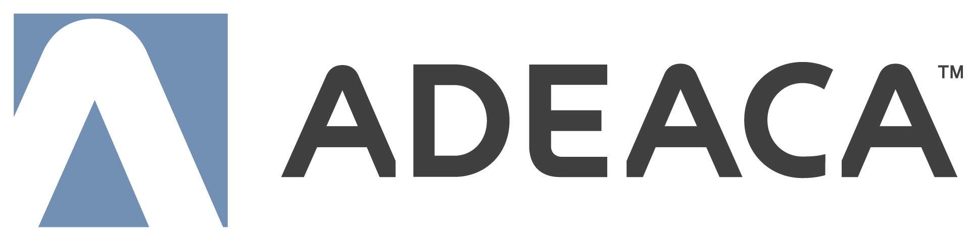 Matt Mong of Adeaca Urges Companies to Focus on the Business Side of Projects 