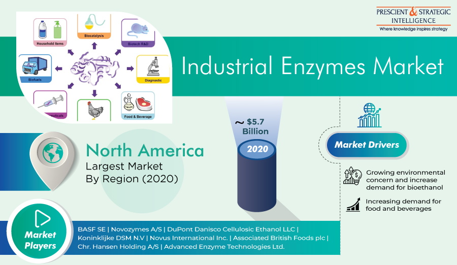 Industrial Enzymes Market Rising Trends, Growing Demand and Business Outlook 2021 to 2030