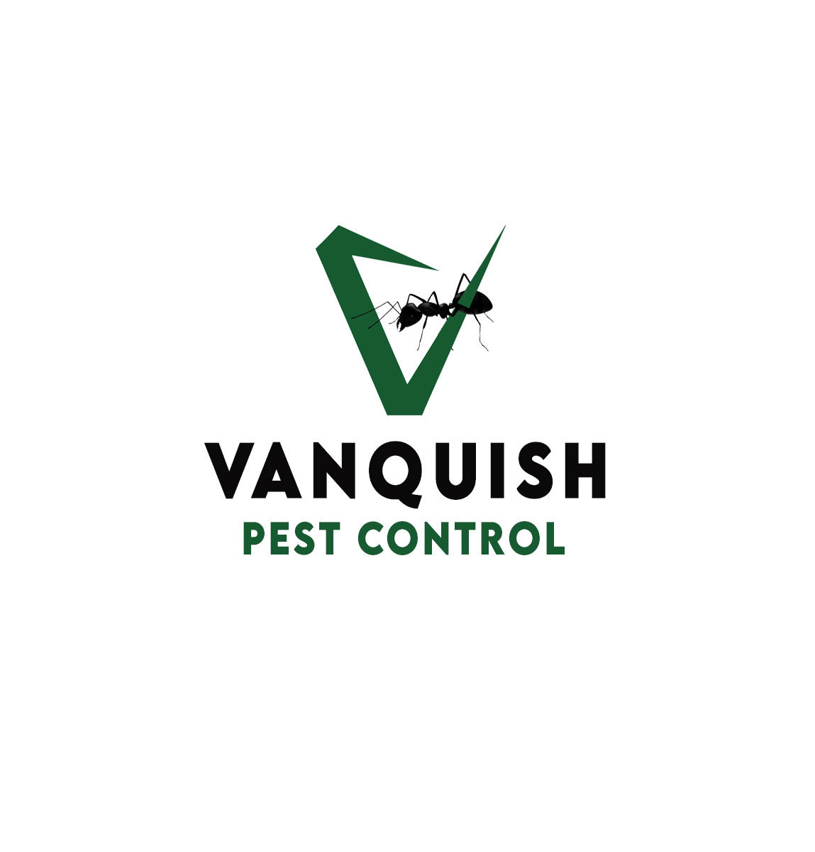 Vanquish Pest Control Expand Their Cockroach Extermination Service Across Ontario
