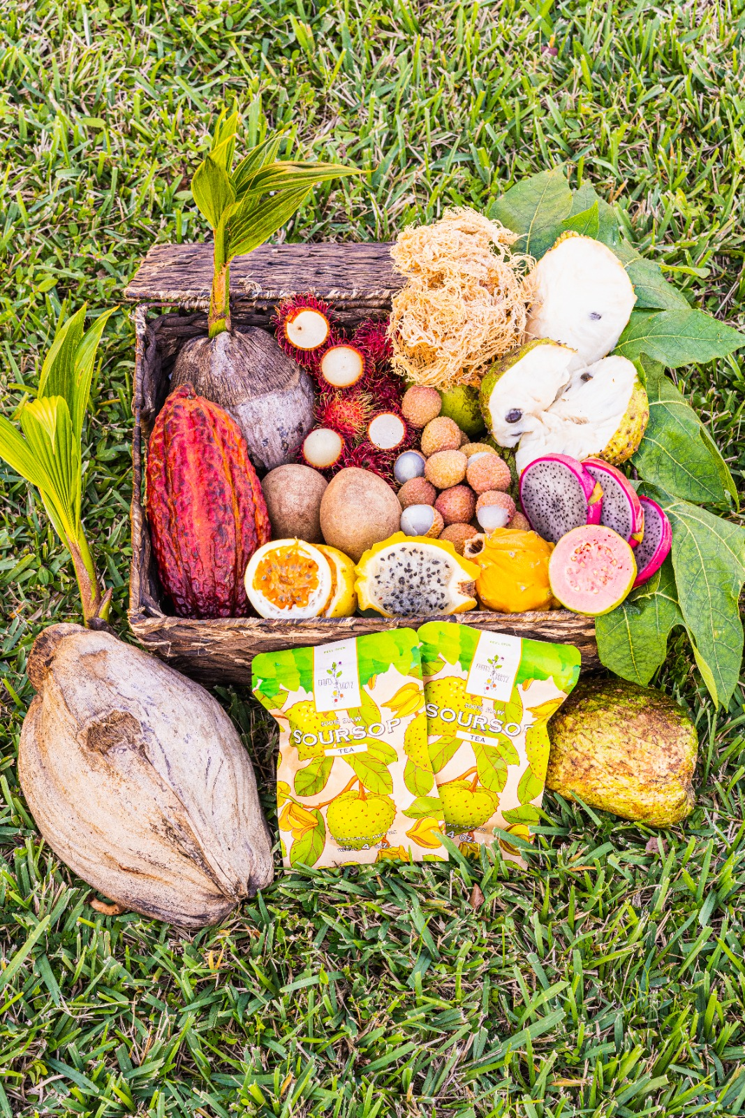 South Florida Based Company, Fruits N Rootz, Touted As The Largest Online Retailer Of Tropical Fruits In The United States