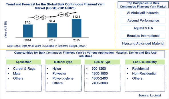 Bulk Continuous Filament Yarn Market is expected to reach $12.3 Billion by 2025 - An exclusive market research report by Lucintel