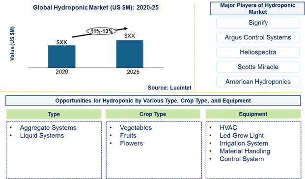 Hydroponic market is expected to grow at a CAGR of 11%-13% - An exclusive market research report by Lucintel