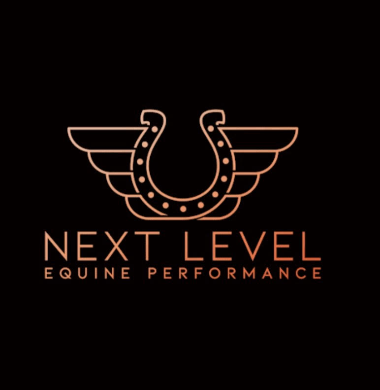 Next Level Equine Performance Promotes Healing Through Pulsed Electromagnetic Field Therapy