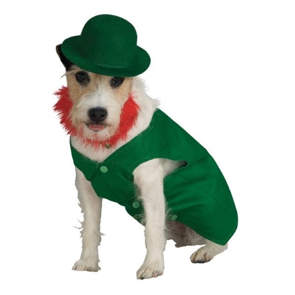 Furry Happiness Celebrates National Dress Up Your Pet Day with Dog Apparel