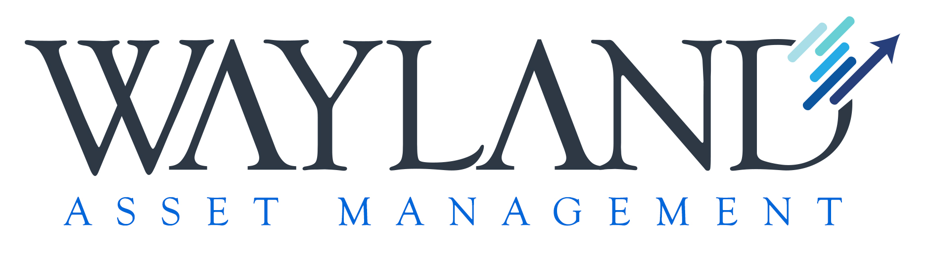 Wayland Asset Management and progression in 2022