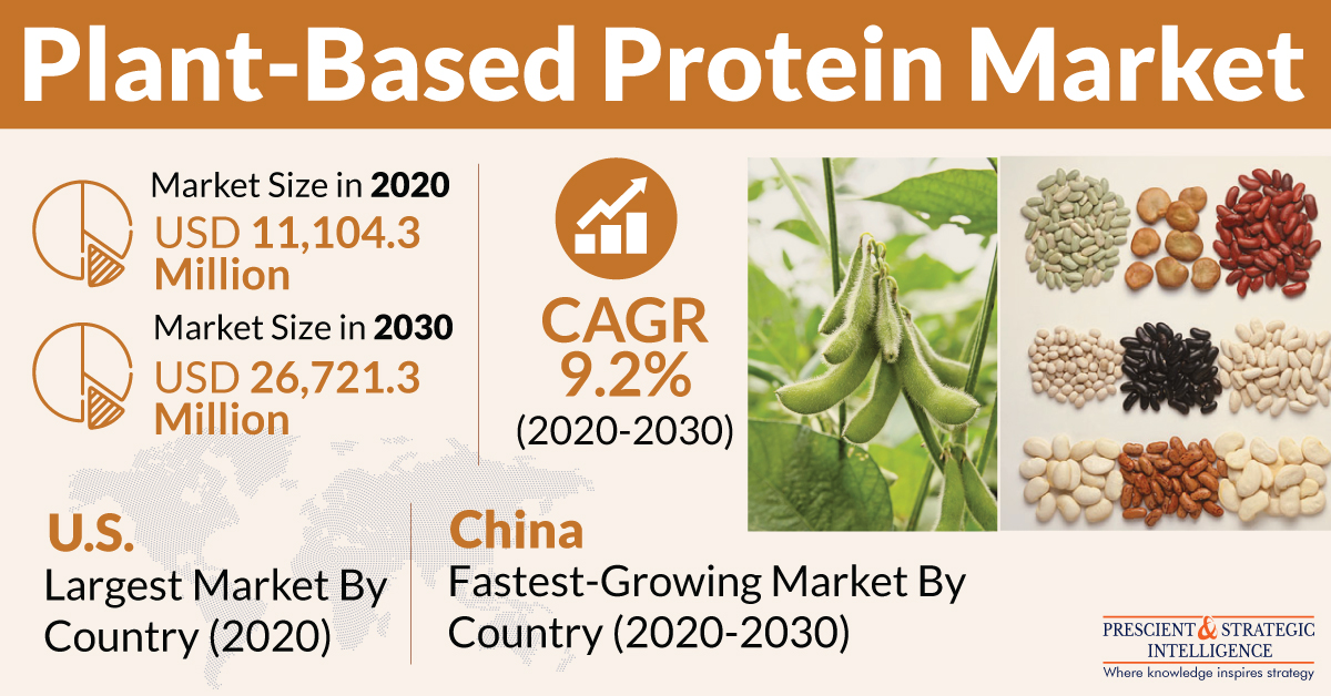 Plant-Based Protein Market Size, Business Growth, Development Factors, Applications And Future Prospects 2030