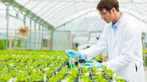 Agrobiology market research report 2022, size, participation, trends and forecast to 2027