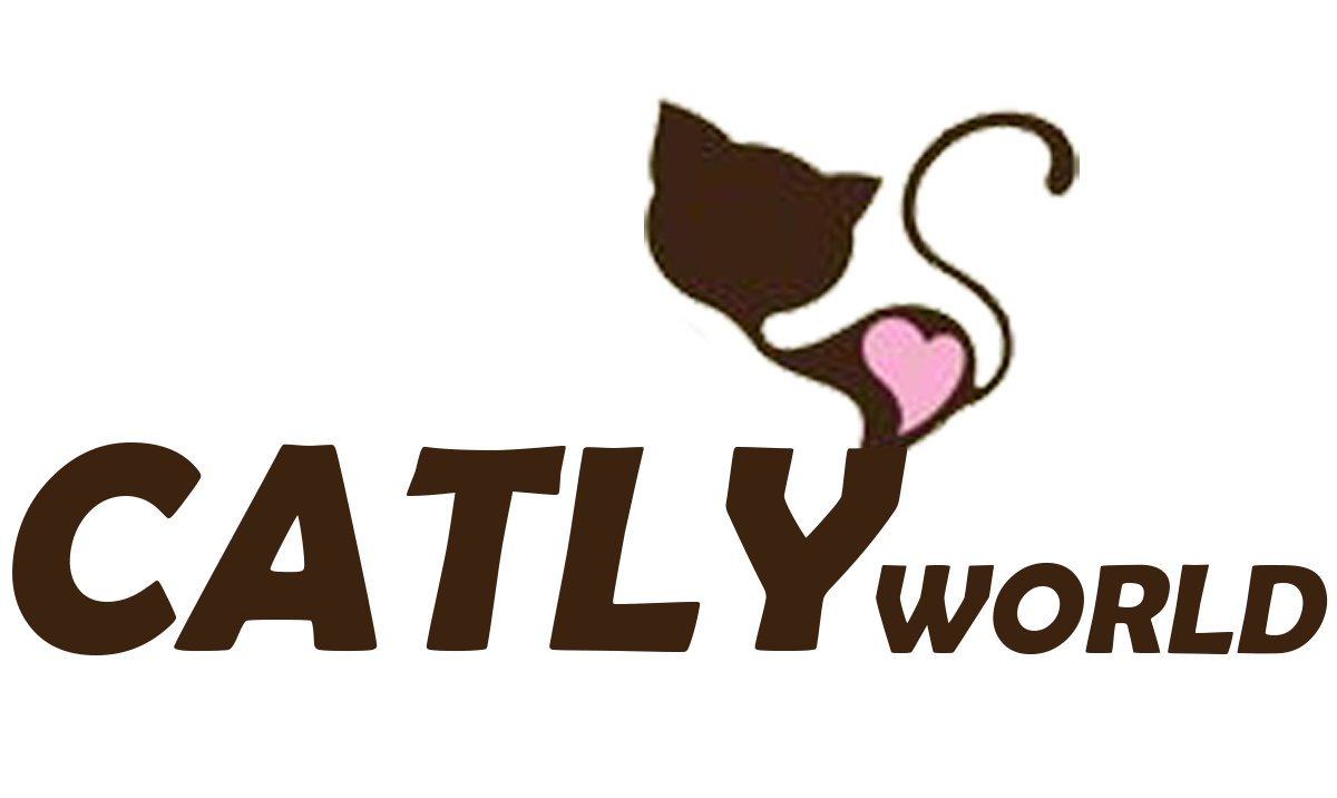 Catly World Sheds Light On How Much Wet Food Your Cat Actually Needs