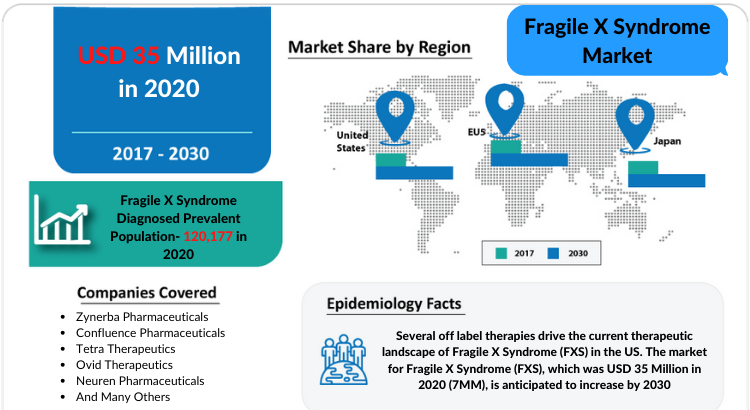 Fragile X Syndrome (FXS) Market Companies, Diagnosis, Treatment and Market Report Scope