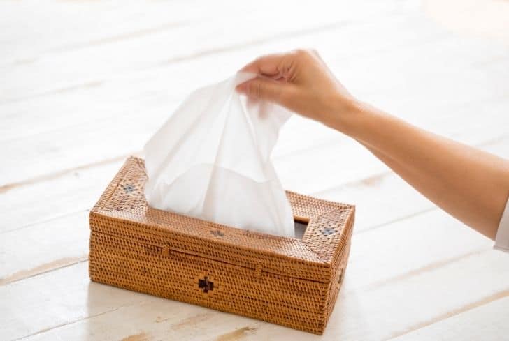 Tissue Paper Market Price, Size, Share, Demand, Trends, and Global Industry Analysis Report 2021-2026
