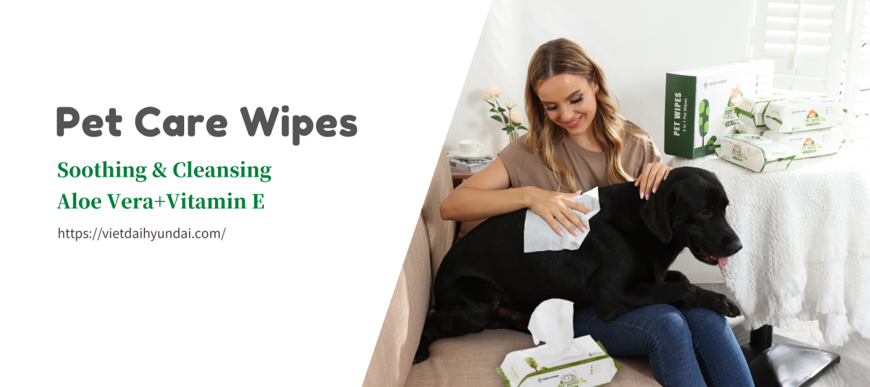 VIETDAI Launches Aloe Vera Pet Wipes for Dogs and Cats