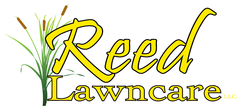 Reed Lawncare - Best Weed Control Service in Oklahoma City with Spring Specials