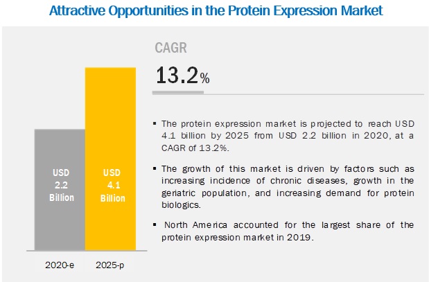 Protein Expression Market worth $4.1 billion by 2025 : Growing Demand for Protein Biologics
