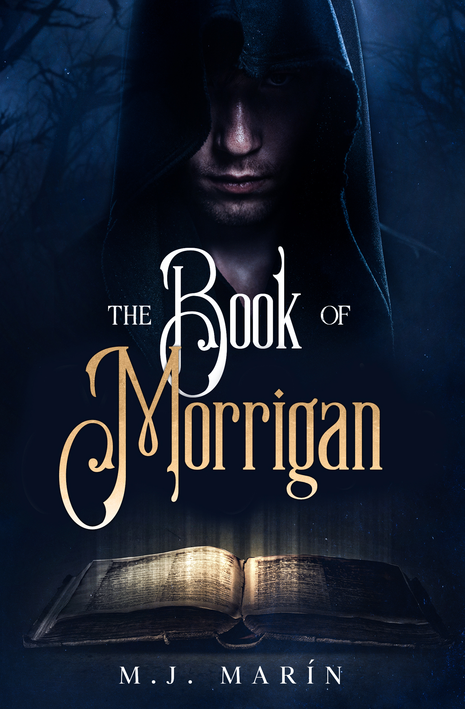 The Dissonance between fate and destiny may never be avoided as both meets heads on in this new book by M.J Marin, The Book Of Morrigan