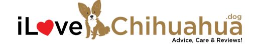 Ilovechihuahua.dog Publishes Several Interesting Posts Useful For Chihuahua Owners