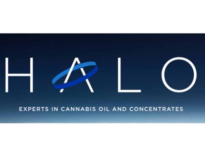 Halo Collective Is Doing Everything Right In A Billion-Dollar CBD Market; Here's Why Its Valuation Is Too Good To Ignore (OTC: HCANF, $HCANF)