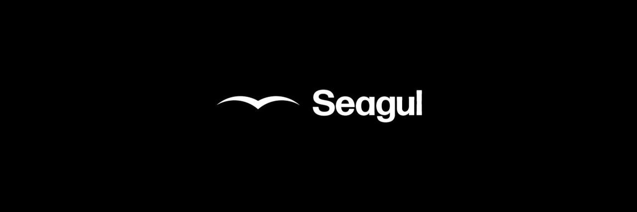 Seagul Is Looking To Give The Relevance That Web3 Deserves With Their Services