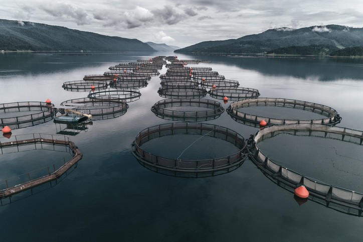 Aquaculture Market Size, Trends, Share, Growth, Demand and Analysis 2022-27