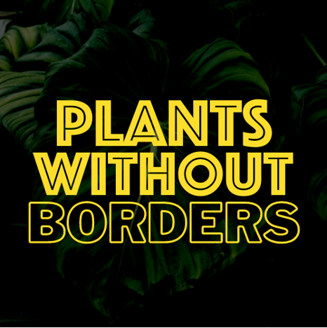 Latin American Growers Join Plants Without Borders to Help American Growers Fight Inflation