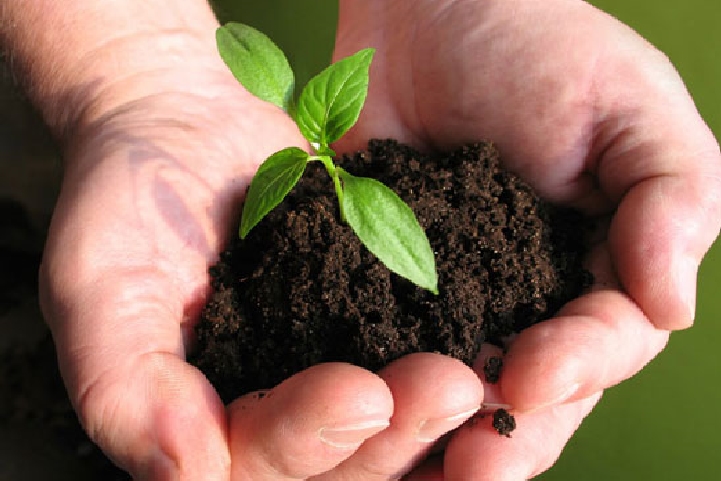 India Biofertilizer Market 2022-2027: Overview, Analysis, Growth Rate, Top Companies Share, Size and Report