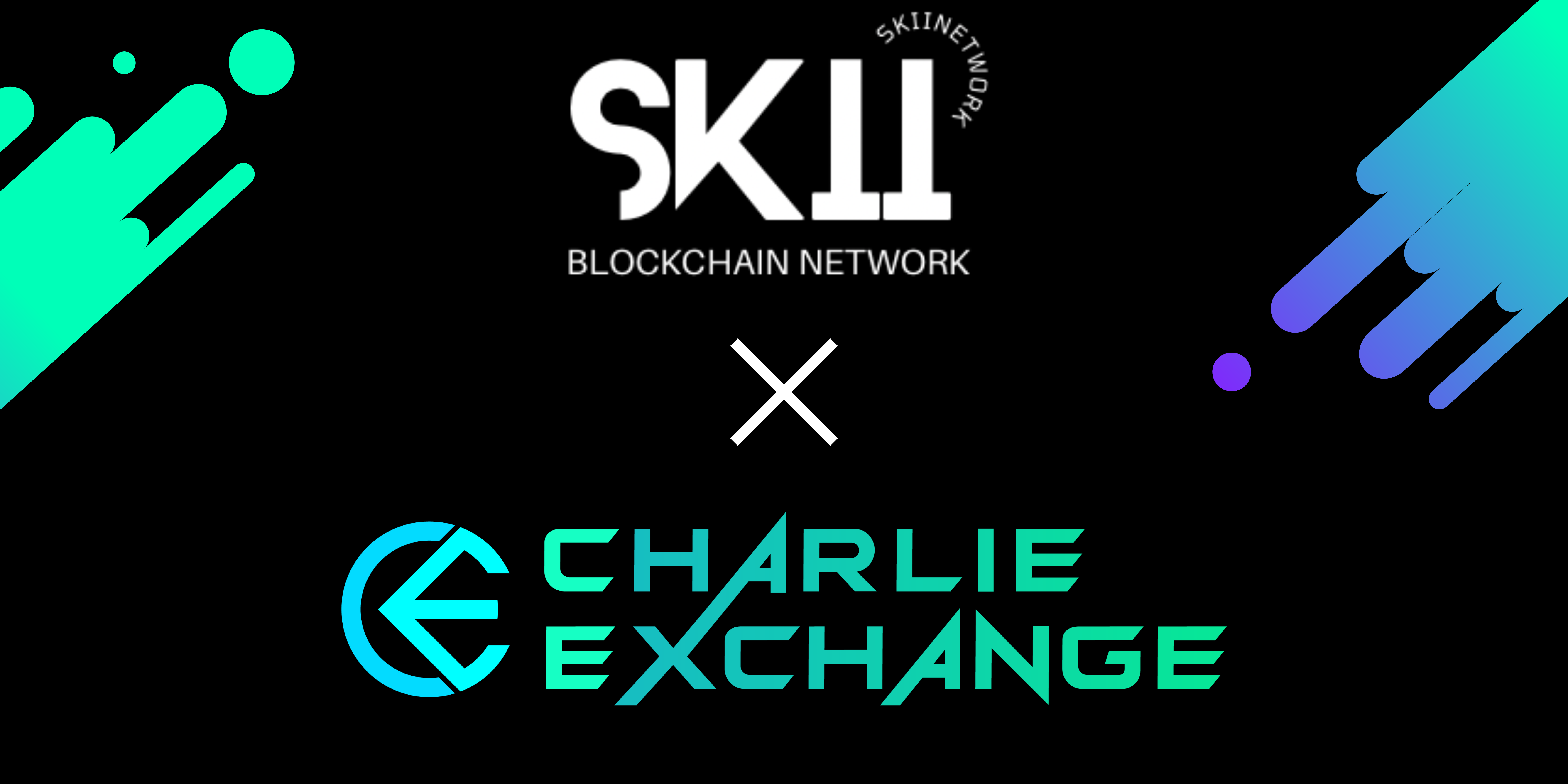 Skii Network Announces a New Partnership With Charlie Exchange 